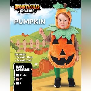 Gently used/worn once - Deluxe Pumpkin costume.